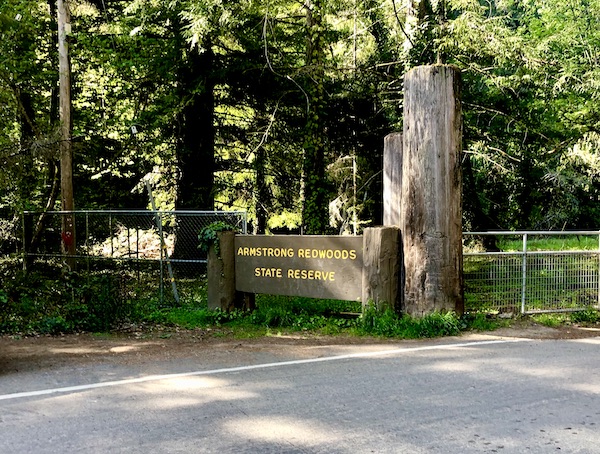 A brown sign with yellow writing amongst tall trees welcoming you to Armstrong Redwoods State Reserve