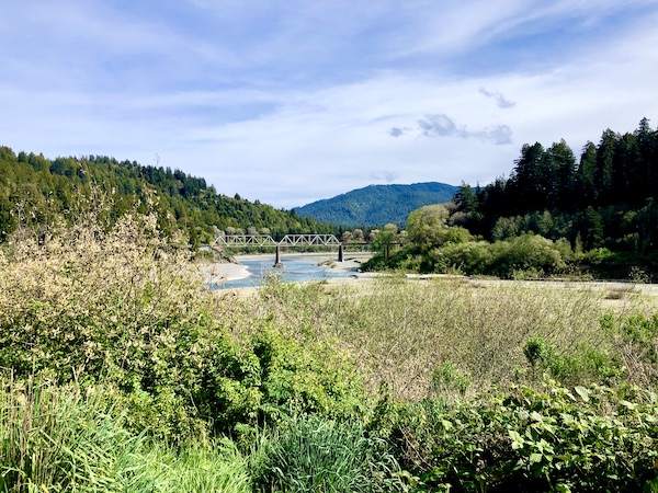 Bushes, trees, mountains, river and bridge along the scenic Avenue of the Giants, on the California Northern Coast Part I.