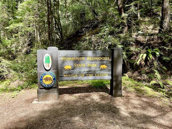 A wood sign in the forest welcoming you to Humboldt Redwoods State Park on the California Northern Coast Part I