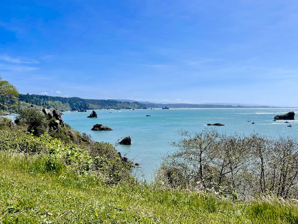 Grass, trees, ocean with rocks and mountains along the California Northern Coast Part II