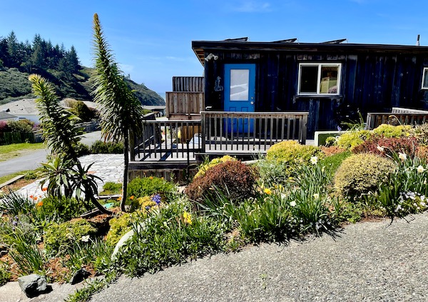 Dark brown beach house with lots of landscape plants lining the driveway along the California Northern Coast Part II