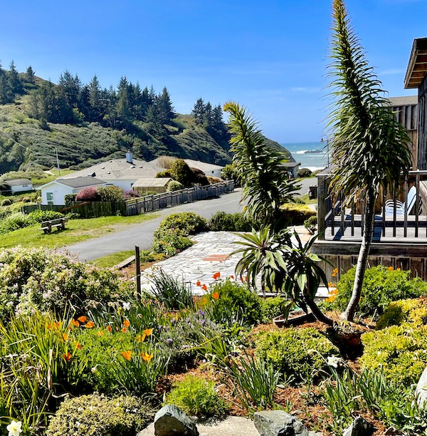 Houses, mountains, landscaping and an ocean view along the California Northern Coast Part II