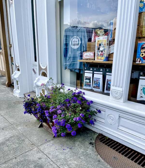 A white storefront with a planter of deep purple flowers on the sidewalk in front on the California Northern Coast Part II