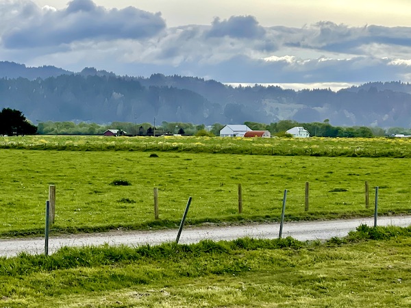 A pasture, yellow flowers, barns and mountains along the California Northern Coast Part II
