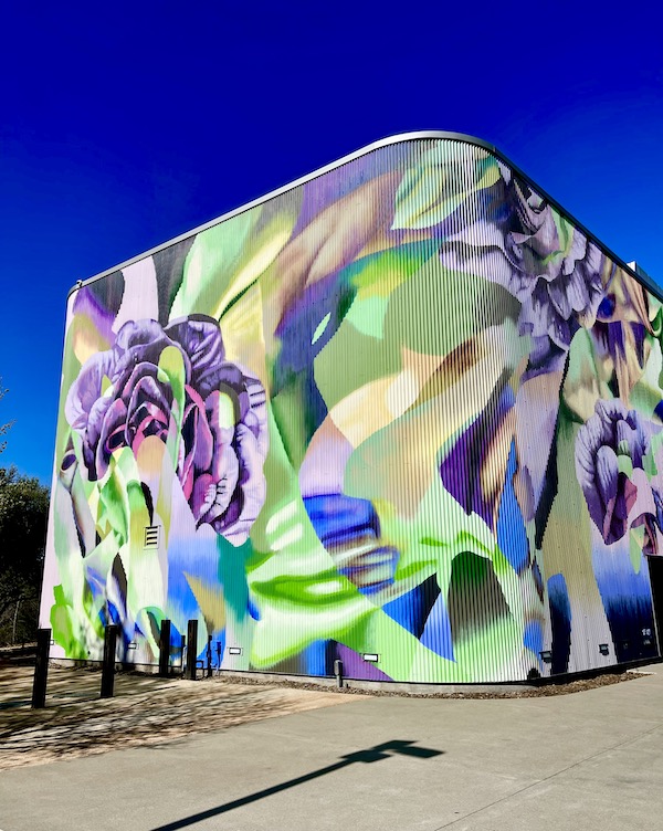 An entire building is a work of art in downtown Napa CA