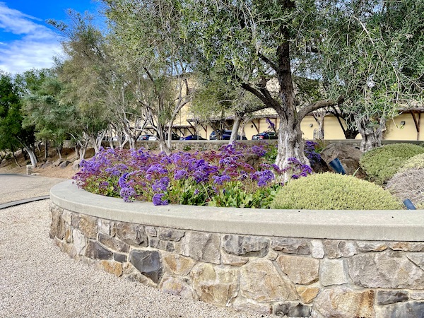 A round planted area with stone retaining wall, trees and purple flowers.