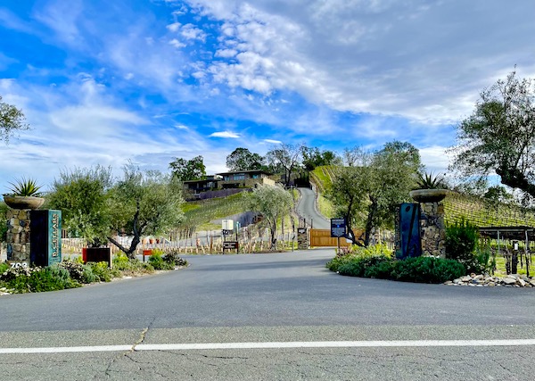 Trees and landscaping with road leading to a building on our Napa Valley Winery Tour