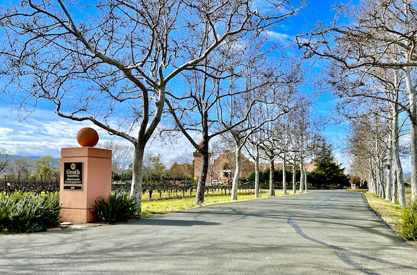 Tree lined road leading to a pink stucco building on our Napa Valley Winery Tour