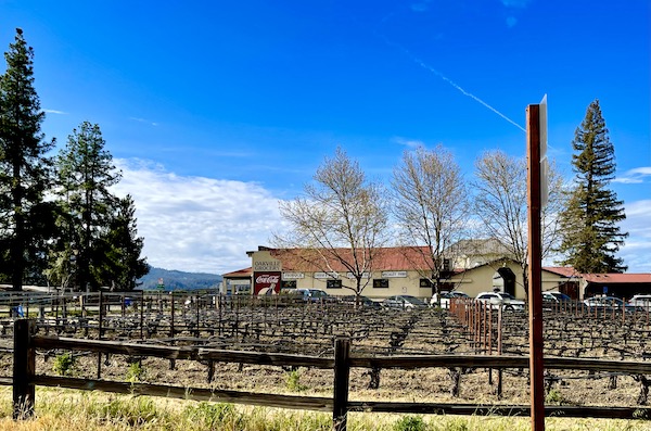 A small vineyard and a beige stucco building with red roof on our Napa Valley Winery Tour