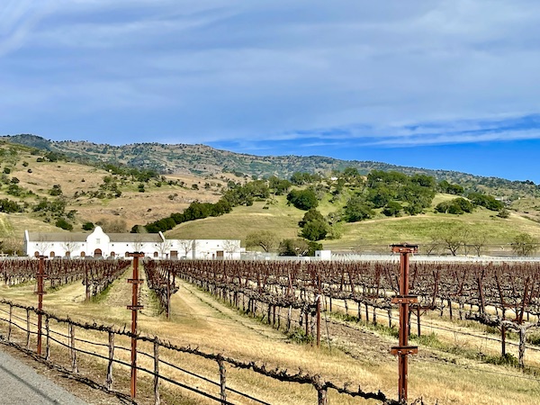 Vineyard, mountain, trees and a white building on our Napa Valley Winery Tour
