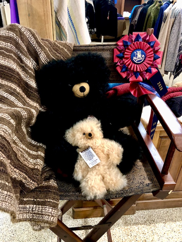 A brown teddy bear, a small white teddy bear, a blanket and a red ribbon award in a gift shop at Alpacas at Marquam Hill Ranch