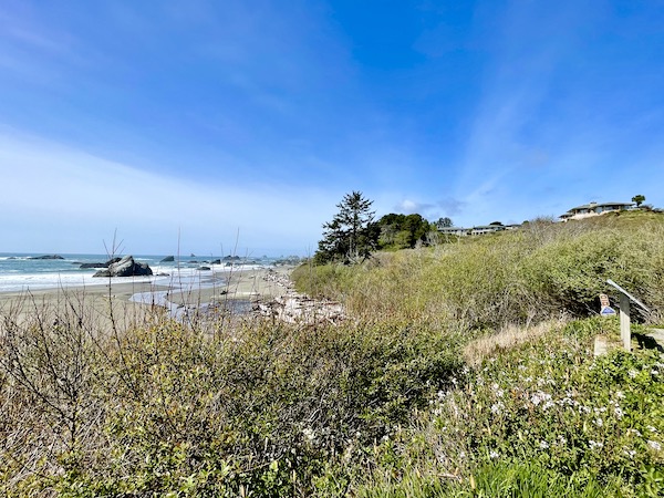 Houses atop a hill overlooking the ocean in Brookings Oregon Revisited