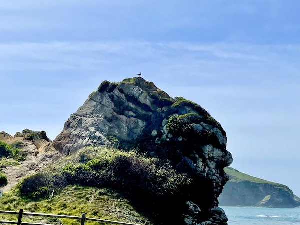 A large boulder at the ocean's edge with grasses and a bird on it in Brookings Oregon Revisited