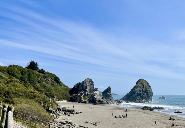 Beach, huge rocks, ocean, grass and driftwood in Brookings Oregon Revisited