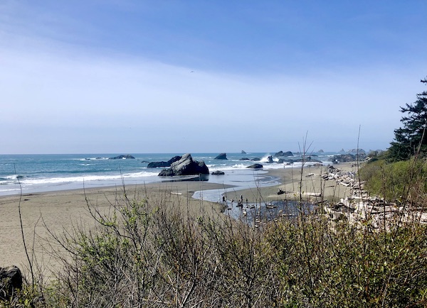 Tall grasses, ocean, beach and rocks at Brookings Oregon Revisited