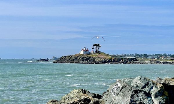 Rocks, ocean and a jetty with a white lighthouse on it in Crescent City California