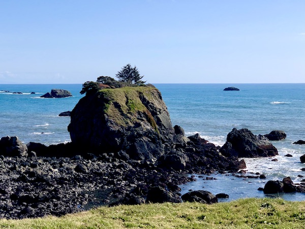 Huge rocks in the ocean with a tree growing atop the biggest rock in Crescent City California