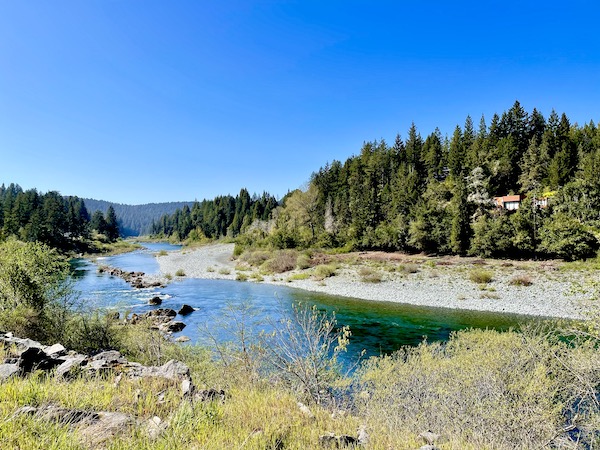 A river winding through a forest. The river has sandy and pebbly banks in Jedediah Smith Redwoods Park