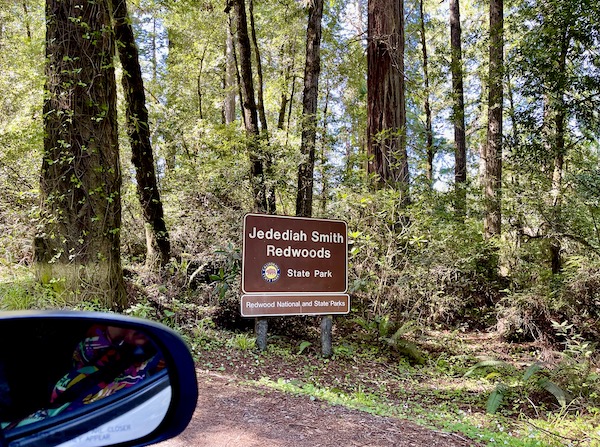 A brown and white sign in a forest. In lower left corner is a car side view mirror in Jedediah Smith Redwoods Park