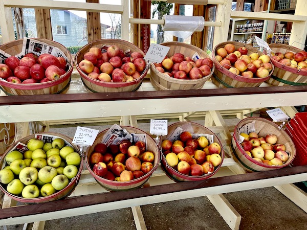 Baskets of different varieties of apples on display at a farm on the back from Mt. Hood Oregon