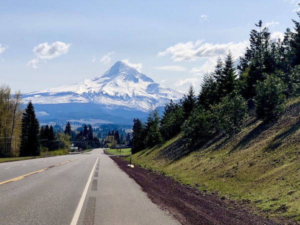 Tree and grass lined highway with snow covered mountain in the distance. Mt. Hood Oregon