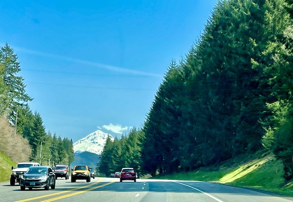 An evergreen tree lined highway, cars and a snow covered mountain, which is Mt. Hood Oregon