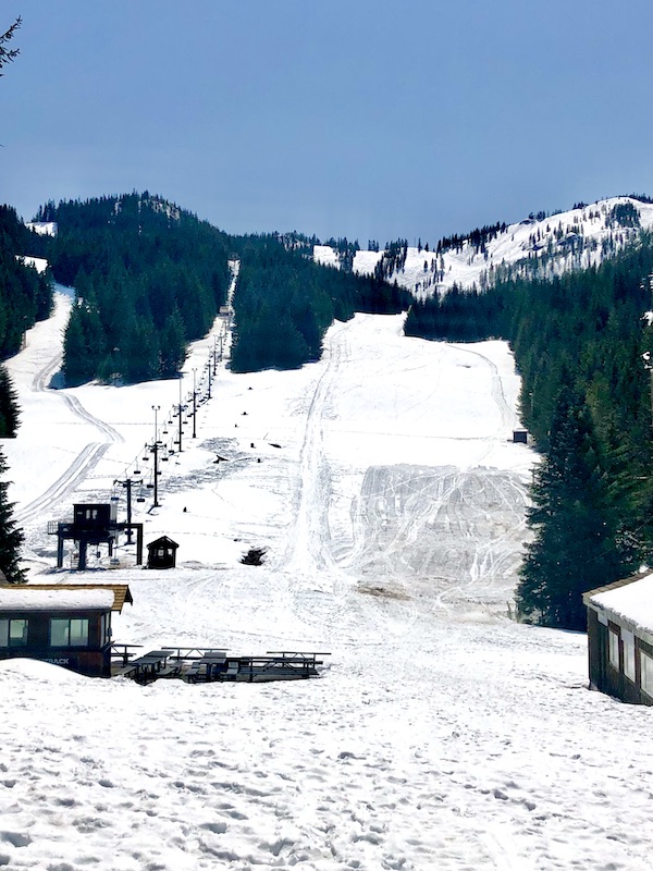 Snow and tree covered mountains with a row of chair lifts on Mt. Hood Oregon