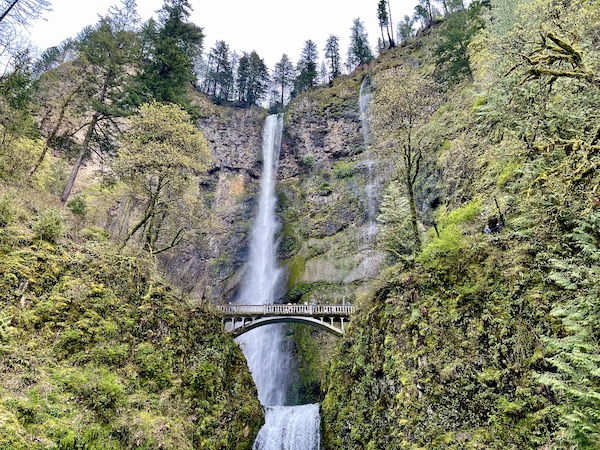 A mountain waterfall that's two tiered and a bridge span in front of the upper tier at Multnomah Falls Oregon