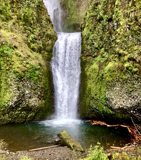 A powerful waterfall plunges past moss covered rocks into a pool of water at Multnomah Falls Oregon