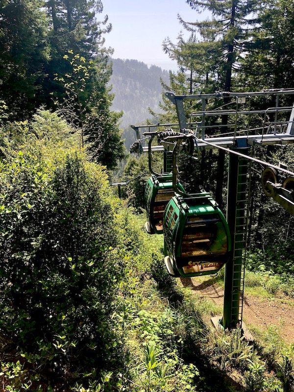 A row of green gondolas hanging from cables going up and down through the Trees of Mystery Klamath CA