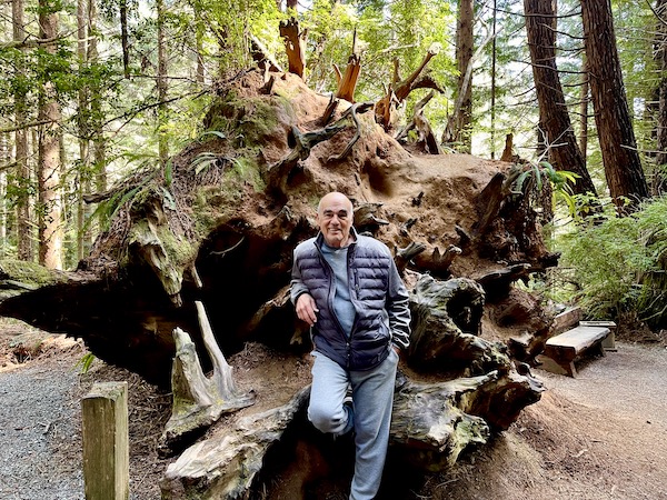 A man in a gray jacket resting against a fallen tree root at Trees of Mystery Klamath CA