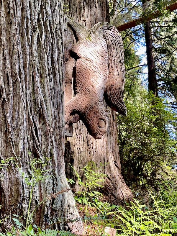 A squirrel sculpture attached to a tree at Trees of Mystery Klamath CA