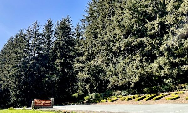 Lawn, trees and shrubbery at entrance to Trees of Mystery Klamath CA