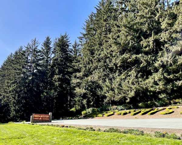 Lawn, trees and shrubbery at entrance to Trees of Mystery Klamath CA