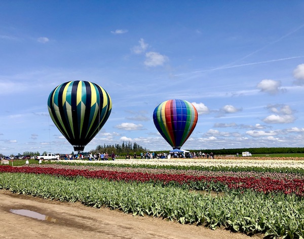 Two hot air balloons at the Wooden Shoe Tulip Festival Oregon