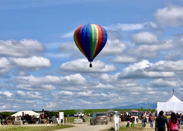 A hot air balloon hovers above the Wooden Shoe Tulip Festival Oregon