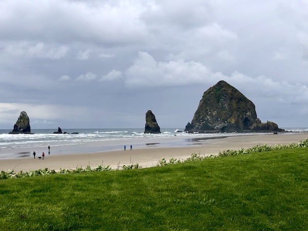 Grass, beach, sand, ocean and rocks jutting out of the ocean in Cannon Beach Oregon