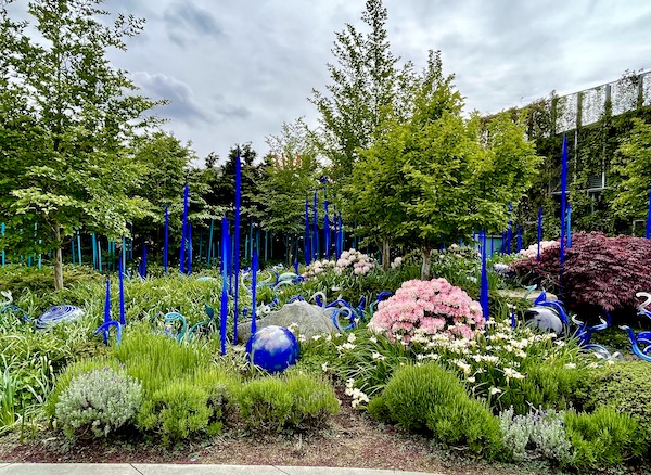 Tall blue glass reeds and glass balls sit among flowering plants at Chihuly Gardens Seattle WA