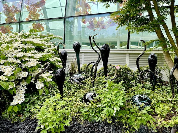 Black glass sculptures, gardens and a glass house with orange glass sculptures inside at Chihuly Gardens Seattle WA