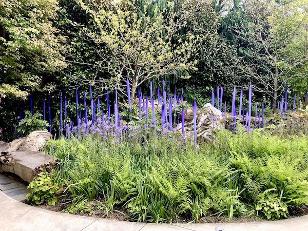 Purple glass reeds among purple flowers and green foliage at Chihuly Gardens Seattle WA