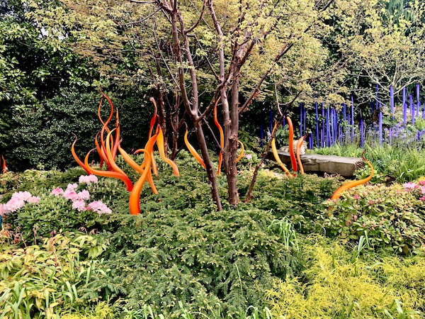 Orange and blue glass "plants" at Chihuly Gardens Seattle WA