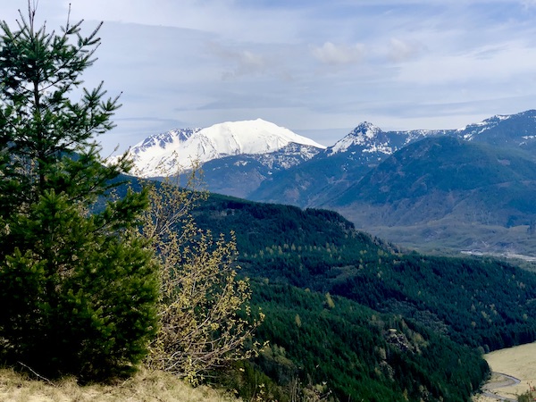 A snow capped mountain looking through evergreen trees is Mount St. Helens Washington