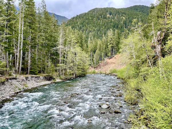 Tree covered mountains, a river with rocks forming rapids in the Olympic Peninsula Washington