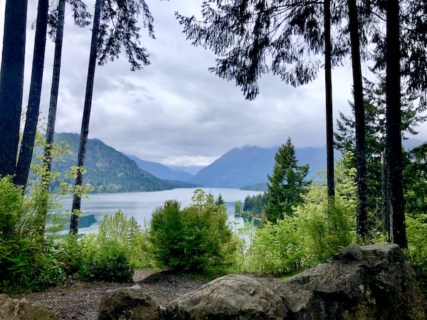 Lake, bushes, trees and mountains in Olympic Peninsula Washington