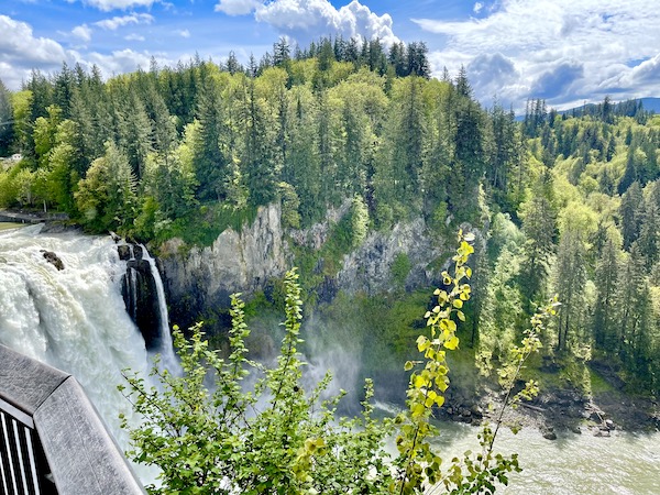 Snoqualmie Falls Washington seen through a bush to keep from getting mist on the camera lens.