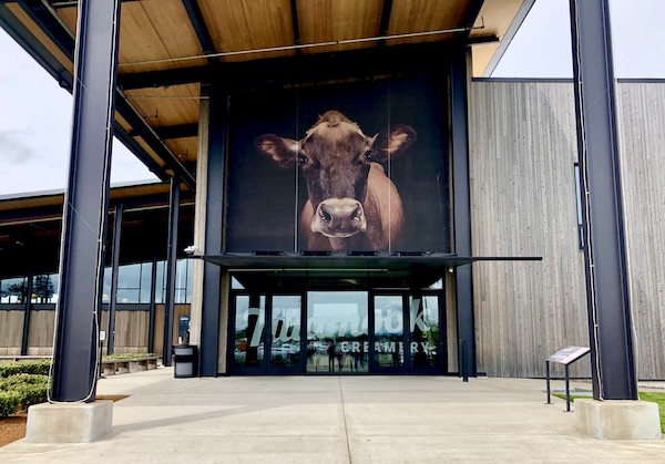 Glass entry for our Tillamook Cheese Factory Tour is highlighted with an image of a brown and white cow