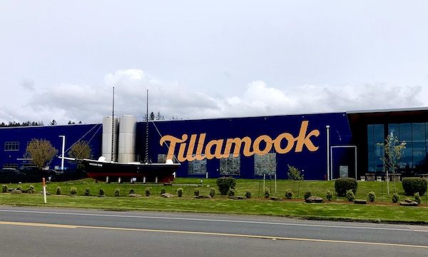 A large blue factory building with yellow lettering seen before we took our Tillamook Cheese Factory Tour