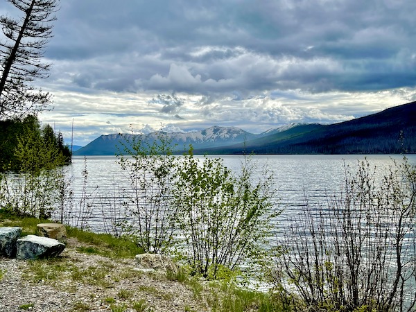 Mountain lake with trees and bushes surrounding it in Glacier National Park Montana
