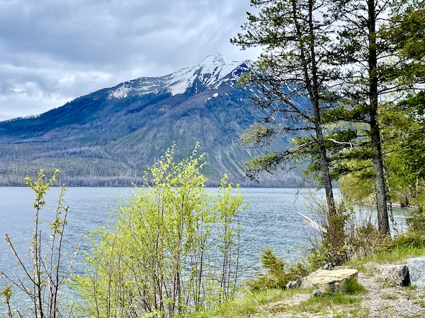 View of Lake McDonald through trees at Glacier National Park Montana