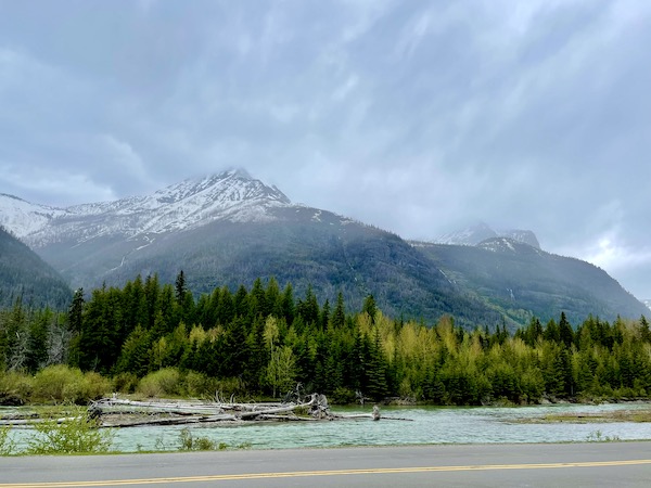 Snow capped mountains, clouds, river, trees and logs floating in the river in Glacier National Park Montana